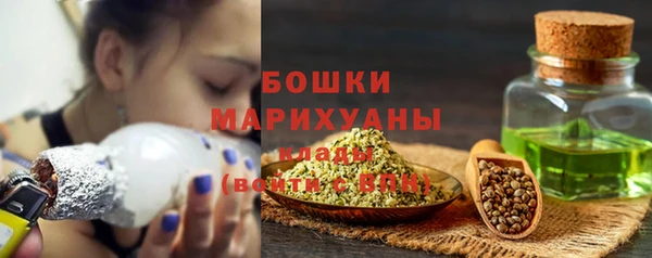 соль ск Снежинск