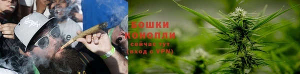 соль ск Снежинск