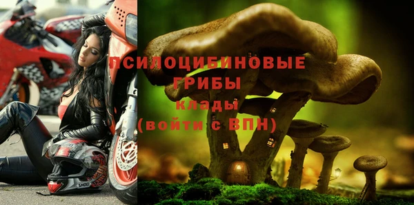 соль курить ск Снежногорск