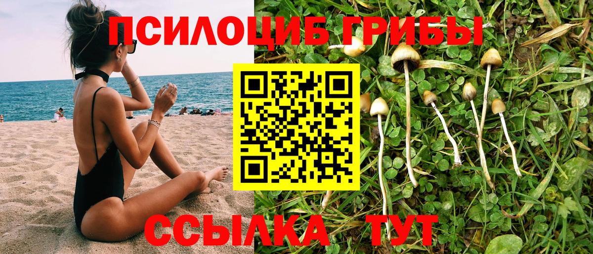 Торжок  Галлюциногенные грибы ЛСД  Вход с VPN 